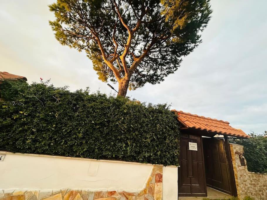 Fontana House Marina di Cerveteri Exterior photo
